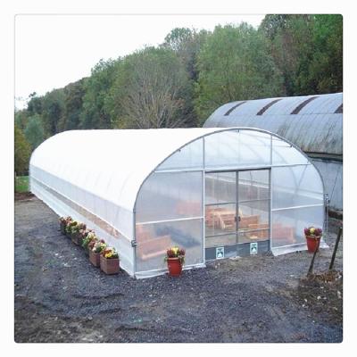 China High Quality PE Hydroponic Growing Systems Steel Frame Greenhouses For Vegetables Fruit Flower Plants for sale