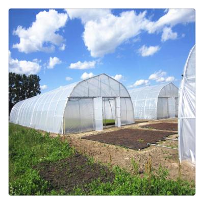 China PE Good Quality Best Selling Tomato Pepper Cucumber Strawberry Commercial Plastic Film Greenhouse for sale