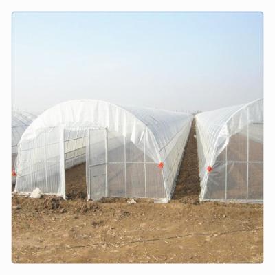 China Low Cost China PE Span PE PO Plastic Sheet Single Steel Tube Frame Poly Tunnel Agricultural Green House for sale