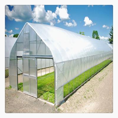 China China Manufacture PE Blackout Galvanized Steel Frame Green PE PO Tomato Strawberry Poly Tunnel House for sale