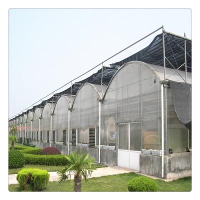 China Best Selling Multi Span PE Poly Tunnel Film Greenhouse For Vegetable Growing for sale