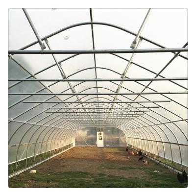 China Cultivation of Vegetables/Fruits/Agricultural Greenhouse Customized Hot Selling Poly Flower Film Plant Tunnel for sale