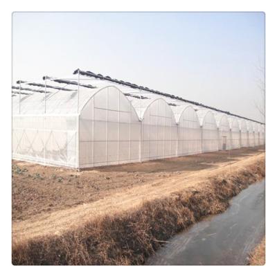 China Green PE Lettuce Tomato PE PO Plastic Film Multi Span House for sale