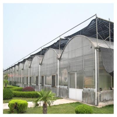 China Growing Vegetables / Fruits / Flowers Customized Multi Span Galvanized Steel Frame Agricultural Greenhouse for sale