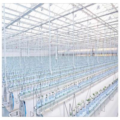 China Growing Vegetables / Fruits / Flowers China Customized Steel Frame Multi Span Polycarbonate Greenhouse for sale