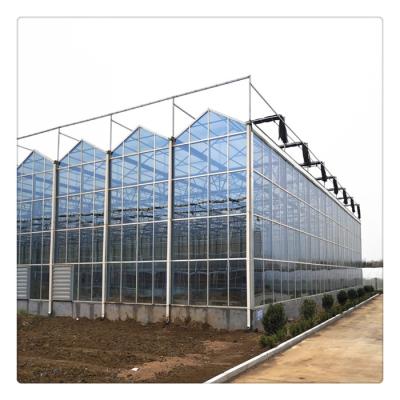 China Hot Sale China Glass Factory Galvanized Steel Frame Multi Span Glass Venlo Hydroponic Agriculture Greenhouse for sale