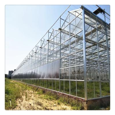 China Large Size Steel Frame Multi Span Shade Net Irrigation System Steel Frame Hydroponic Agricultural Green House for sale