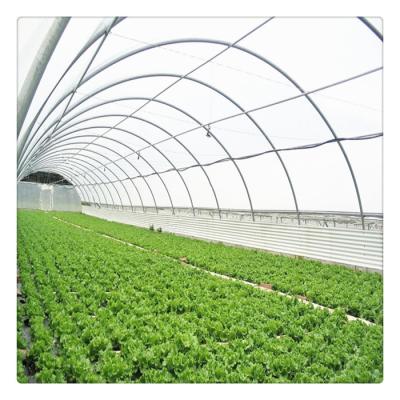 China Cultivation of Custom High Quality Galvanized Steel Frame Vegetables / Fruits / Flowers Agricultural Greenhouses for sale