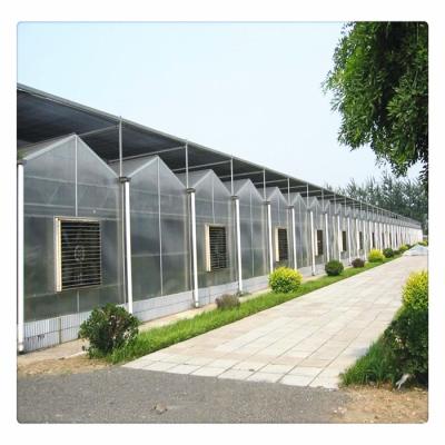 China PC Sheet China Supply Light Deprivation Cooling Hydroponic System Velno Multi Span Polycarbonate Greenhouse for sale