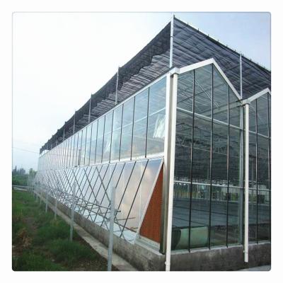 China Hot Selling Glass Multi Span Glass Shade Net Hydroponic Greenhouse for sale