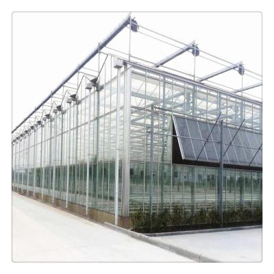 China Glass Vegetable Fruit Tomato Strawberry Shading Ventilation System Multi Span Glass Agriculture Greenhouse for sale