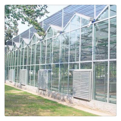 China Large Size Multi Span Tomato Strawberry Steel Frame Lettuce Galvanized Glass Agricultural Greenhouse for sale