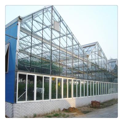 China Steel Frame Hydroponic Multi Span Glass System Blackout Glass Hot Selling Protection Ventilation Greenhouse Greenhouse Agricultural Kit for sale