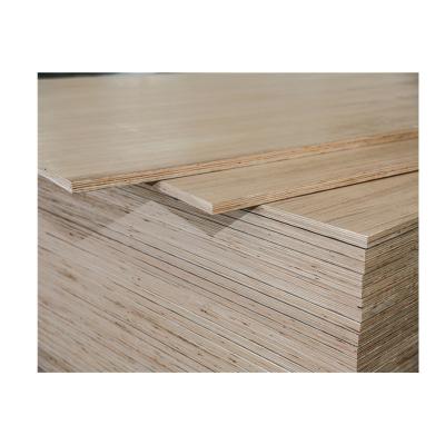 China Competitive Price Best Selling Modern Door Designs Brown Film Faced Plywood 3mm for sale