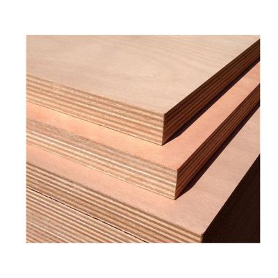 China Factory Direct Supply Cheap Price Modern Door Skin Construction Hot Selling Plywood for sale