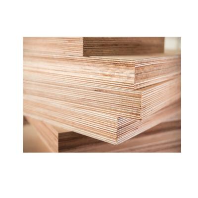 China The best modern hot sale price the most popular bulk birch fancy plywood for sale