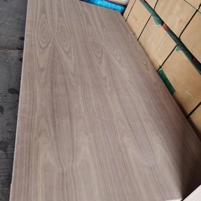 China Modern Natural 18mm Red Oak Walnut Peach Face And Back Veneer Fancy Plywood for sale