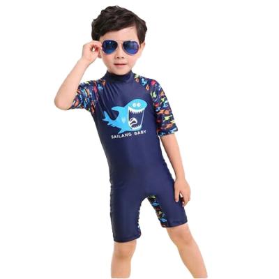 China Babies Boy Swimwear Toddlers Kids Swimsuit Viable One-Piece Swimwear Rash Guard Surfing Suit for sale