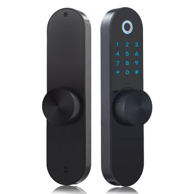 China TTlock Zinc Alloy Widespread Apartment Swipe Passcode Smart Fingerprint Lock with Alexa for sale