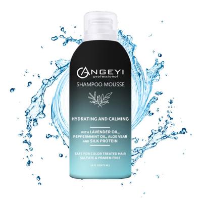 China Anti Loss Prevention Protein Hydration Dandruff Nourish Hair Shampoo Champu Lavender Peppermint Aloe Vera Silk Unisex Adults 10 Years Daily Life for sale