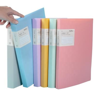 China Waterproof Custom Design PP Show Book Folder With 20 30 40 60 Clear Pockets A4 Size for sale