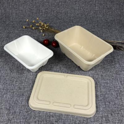 中国 180*125*39mm Bio-Degradable Compartment Takeaway Box for Hot Food Takeout Service 販売のため