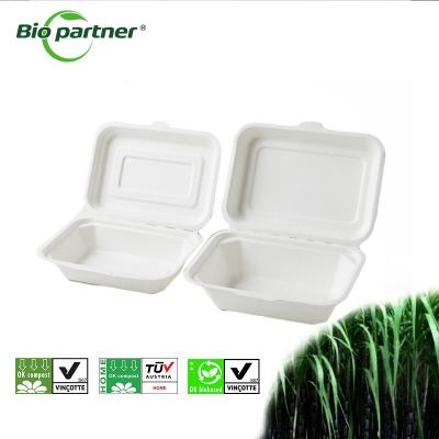 China Custom Size Accepted Biodegradable Takeaway Pulp Sugarcane Food Container for Takeout for sale