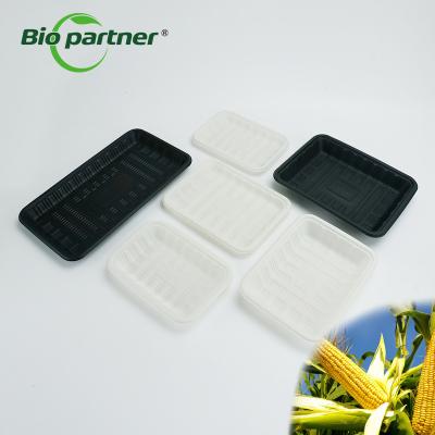 Cina Customized Disposable Rectangle Packaging PP Plastic Box for Eco-friendly Food Storage in vendita