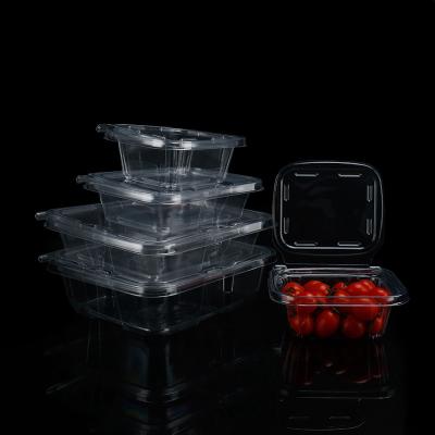 China Convenient Tamper evident PET Clear Food Container for Takeout and Fruit Disposable for sale