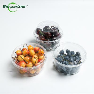 China Custom Fruit Salad Pre cut Fruit Vegetable Cutting Cup 16 Oz Plastic Deli Container for sale