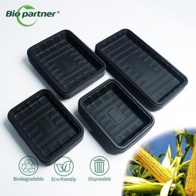 China Blister Process Type Fresh Meat Trays Punnet for Other Food Biodegradable Disposable for sale