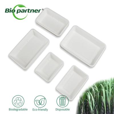 China Eco-Friendly Sugarcane Bagasse Boat Snack Tray Container for Back to School Occasion for sale