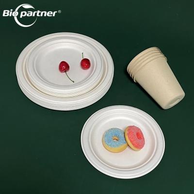 China 155*155*12.5mm LFGB Certified Disposable Tableware Set for Easter and Birthday Parties for sale