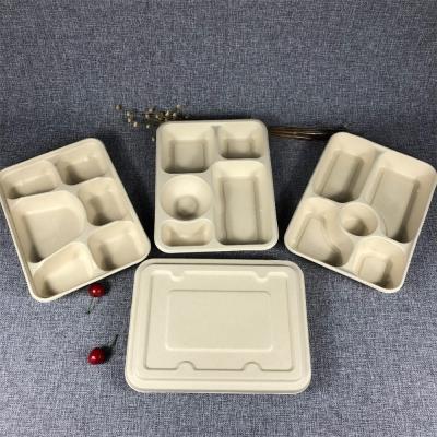 China X23 Promotion White and Beige Biodegradable Sugarcane Bagasse Food Container with Lid for sale