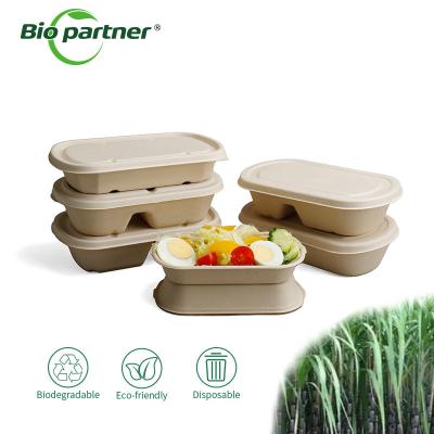 China 2 Compartment Take Way Bento Meal Lunch Food Packaging Pulp Lunch Box for Commercial for sale