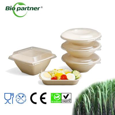 Chine Produit à base de poudre de pâte de bagasse à vendre