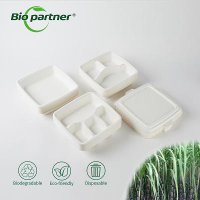 China 6 Compartment Disposable Lunch Rice Bento Box for Home Hotel Restaurant Wedding Party for sale