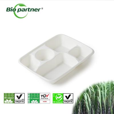 China Disposable Sugarcane Bagasse Pulp Tray for Food Catering Eco-Friendly and Compostable for sale