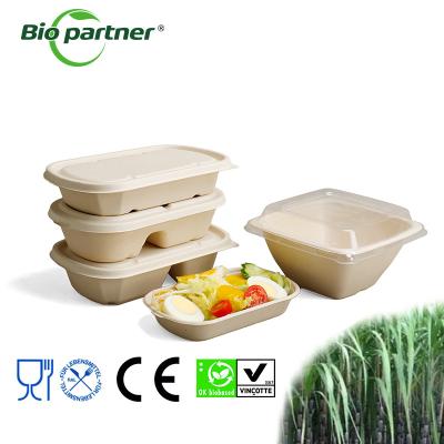 China Biodegradable Sugarcane Pulp Packaging Takeaway Bagasse Food Container WITH LID Te koop