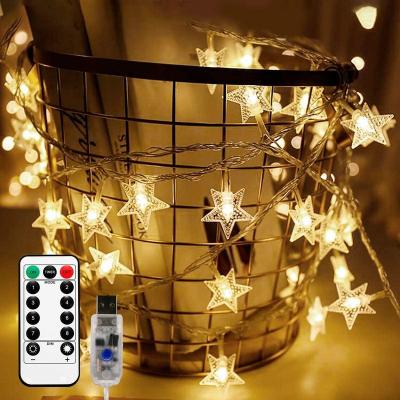 China PVC+Copper Wire+LED Rohs Approved 24h Response Park Decoration Lighting Custom Time Bright White CLASSIC House Glass Lamp Body Warm Holiday TDC for sale