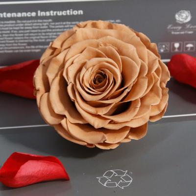 China 100% Preserved Nature Fresh Rose Professional Factory Valentine's Day Flower Modern Novel Design 9-10cm Preserved Real Rose Head for sale