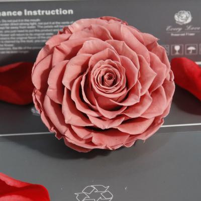 China 100% Preserved Nature Fresh Rose Factory Direct Thanksgiving Immortal A Grade Roses Flower Decorative Flowers Wreaths And Plants 9-10cm Preserved Real Rose Head for sale