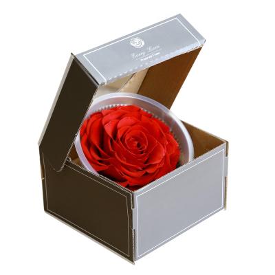 China 100% Preserved Nature Fresh Rose OEM Factory Thanksgiving Flowers Eternal Flower Enternal In Box For Decoration 9-10cm Preserved Real Rose Head for sale