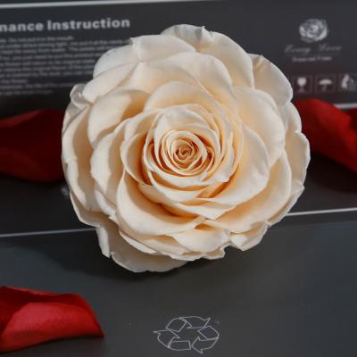 China 100% Preserved Nature Fresh Rose Professional Factory  Fresh Wholesale Wedding Decorator Fake Flowers Artificial Tree 9-10cm Preserved Real Rose Head for sale