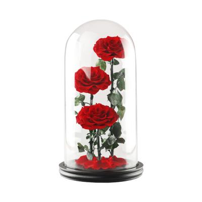 China Preserved Rose High Quality Cheap Valentine Gifts Preserved Eternal Rose In Glass Gift Box For Home/Wedding Decoration for sale