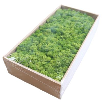 China Preserved Moss Wholesale Stabilize Artificial Moss Wall Preserved Moss For Office Decoration Vertical Garden Flower Wall for sale