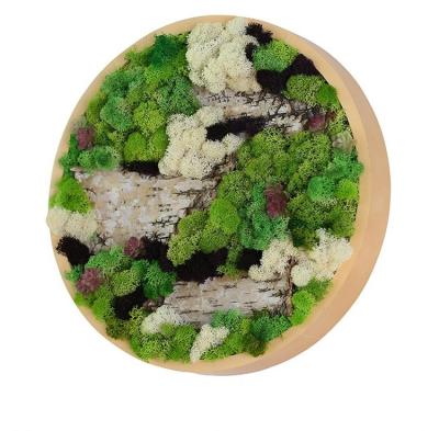 China Preserved Moss New Design Professional Moss Wall Green Wall Art Preserved Moss Plant Wall Decor Plant Circle Moss Home Office for sale