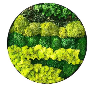 China Preserved Moss High Quality Cheap 30-80Cm Wall Decoration Preserved Moss Preserved Frame Moss Wall Hanging Frame for sale