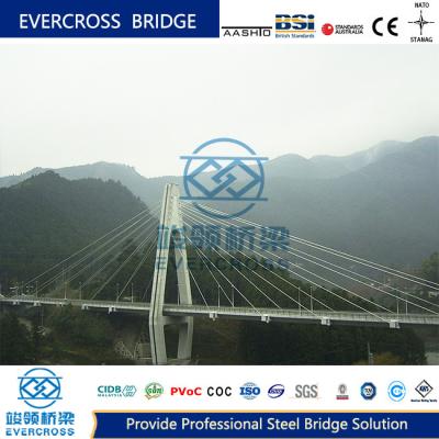 China OEM ODM Single Tower Cable Stayed Suspension Bridge Flexible Structure for sale