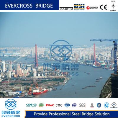 China Large Span Steel Constructure Cable Stayed Bridge Customized Length for sale